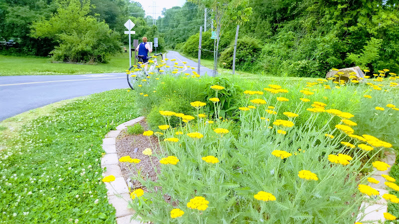 Vienna Parks and Recreation Department