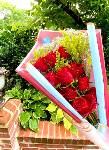 ROSE GARDEN Flowers
