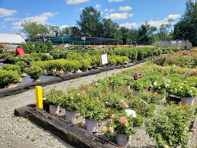 Meadows Farms Nurseries and Landscape