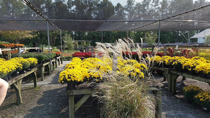 The Great Big Greenhouse and Nursery