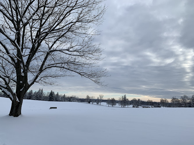 Morven Park Grounds