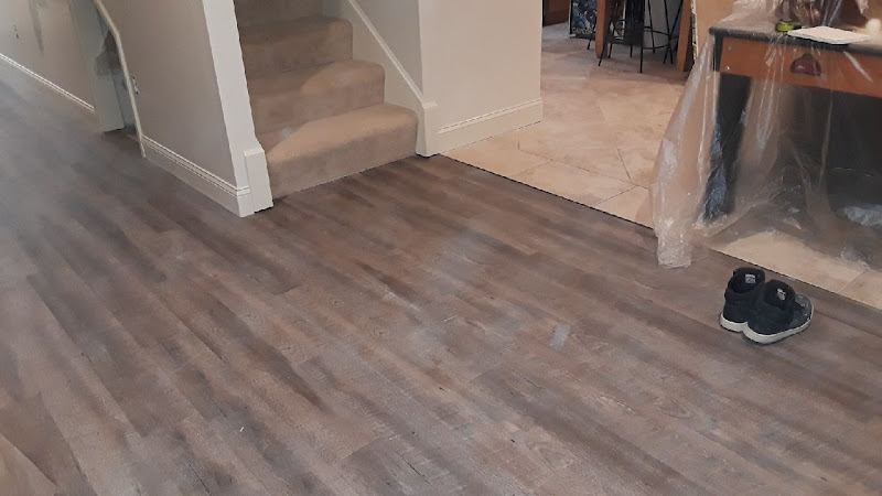 Excellent Carpet Cleaning