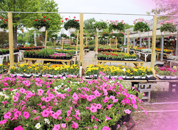 Lake Ridge Nursery, Inc.