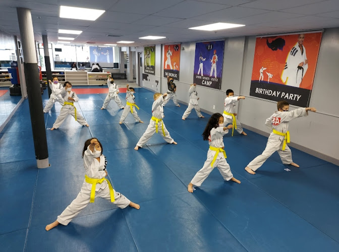 Martial Arts Black Belt Academy – Vienna
