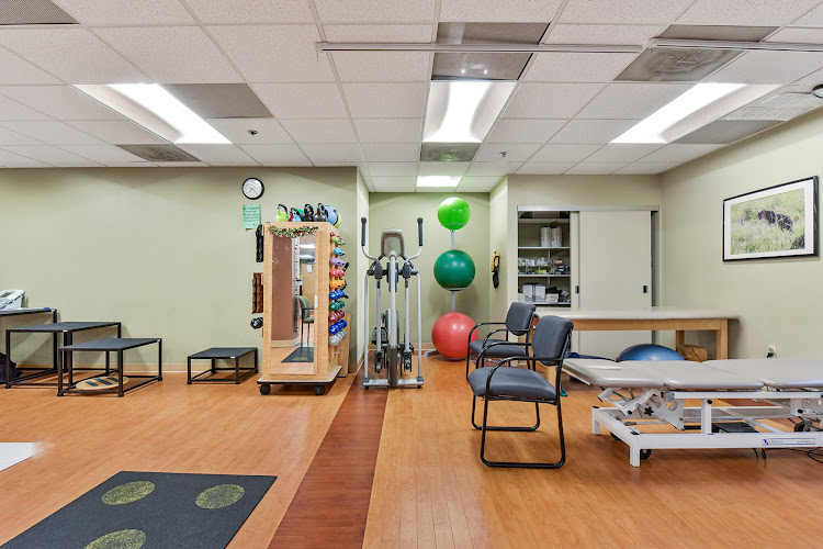 The Jackson Clinics, Physical Therapy