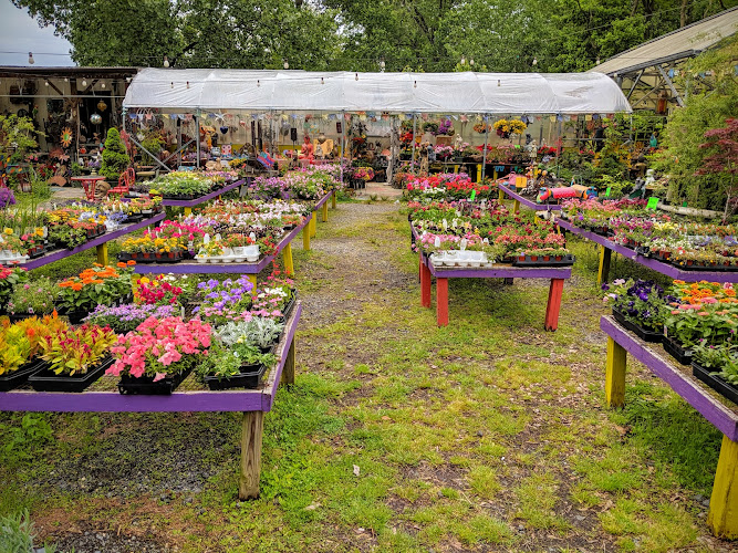 Pablo’s Garden Center
