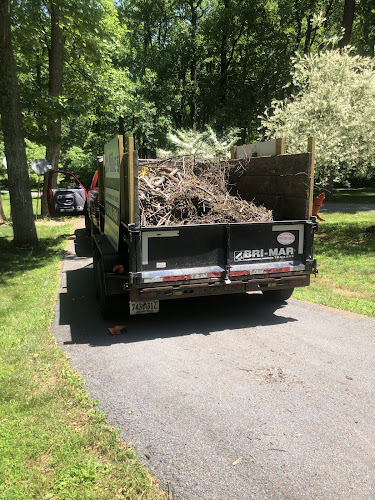 Mike’s Junk Removal LLC