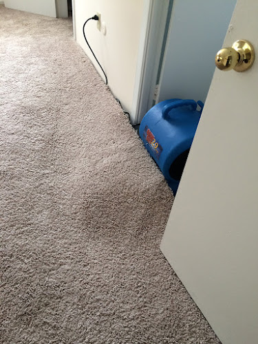 Reston Carpet Cleaning