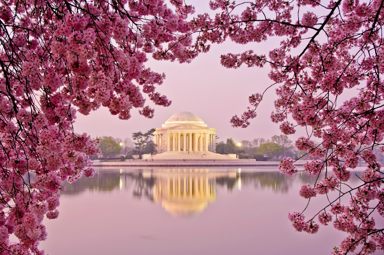 Eye Doctors of Washington