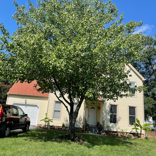 Evelyn’s cleaning service LLC