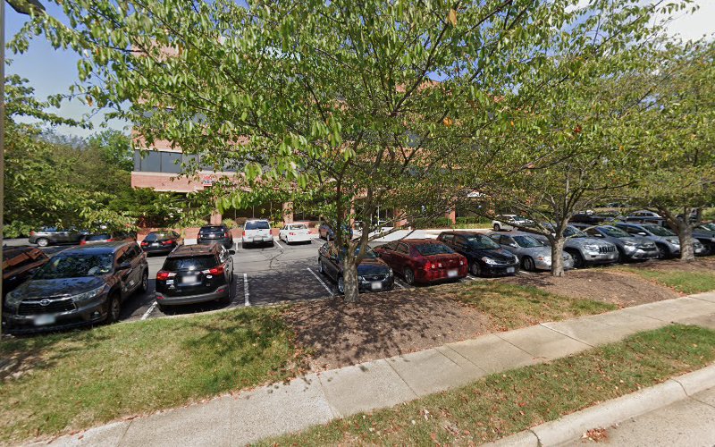 Northern Virginia Psychiatric: Wall Tara PHD