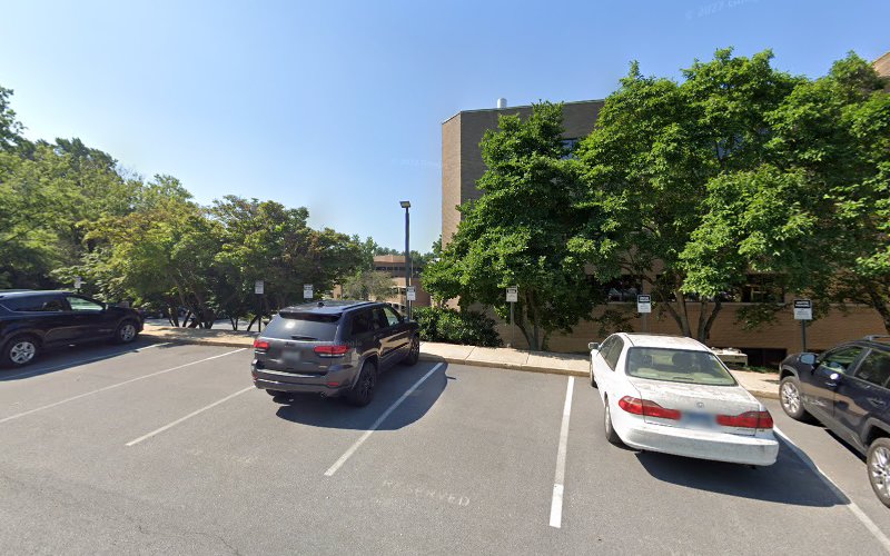 Neuroscientific Insights